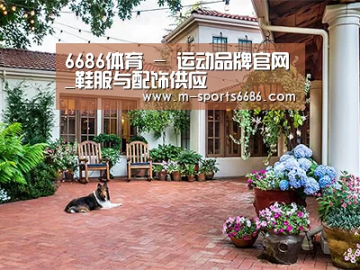 客户案例标题九