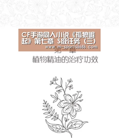 CF手游同人小说《孤狼崛起》第七章 S级任务（三）：6686体育(图2)